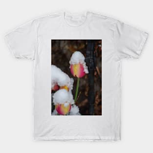 April Snow and Tulips T-Shirt